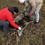 Мониторинг саранчовых в Крыму: специалисты Россельхозцентра завершают весенние обследования
