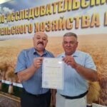 В Крыму три хозяйства подтвердили статус семеноводческих через добровольную сертификацию Россельхозцентра